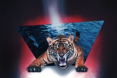 7-Tigerf2-scaled