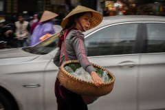 DSC_1291